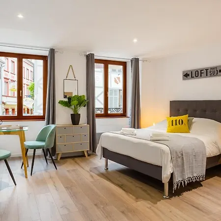 Travel Homes - L'arsenal, En Hyper Centre * Mulhouse