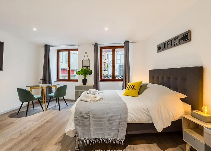 Travel Homes - L'arsenal, En Hyper Centre *