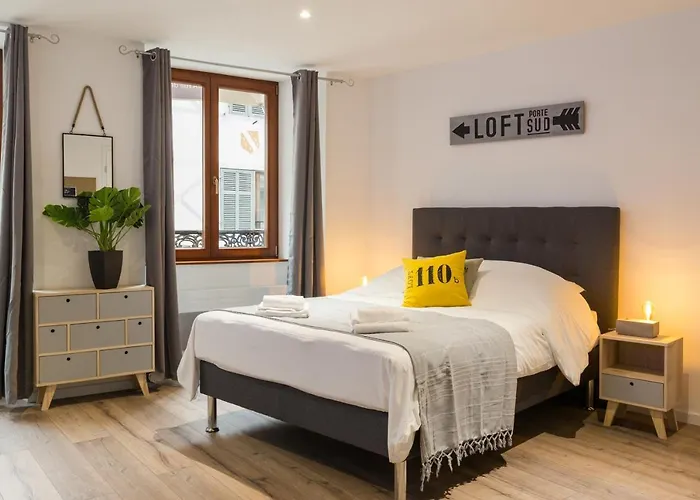 Travel Homes - L'arsenal, En Hyper Centre *